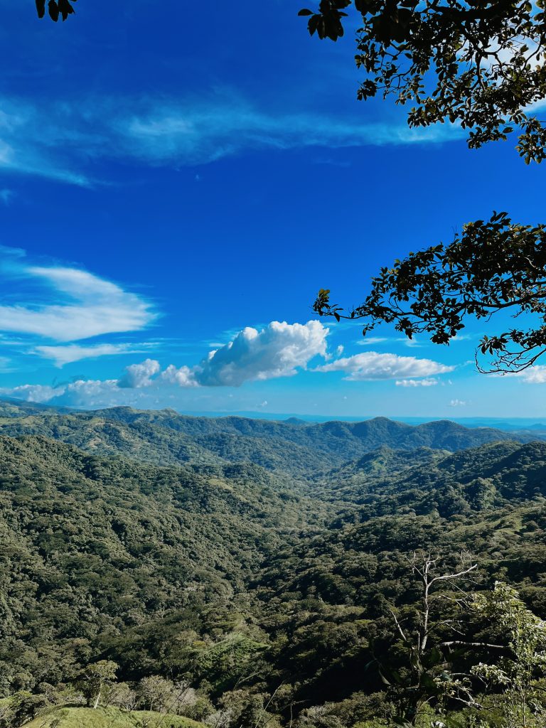 The Ultimate Guide to Monteverde, Costa Rica